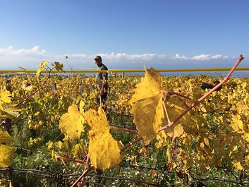 22-12 Par David (6).jpg